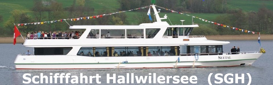 Schifffahrt Hallwilersee