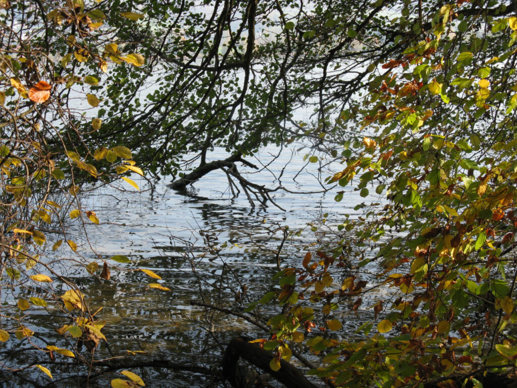 Am Hallwilersee im Herbst
