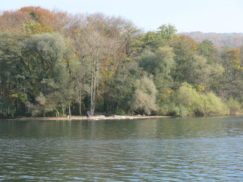 Beim Teufenbach am Hallwilersee im Herbst