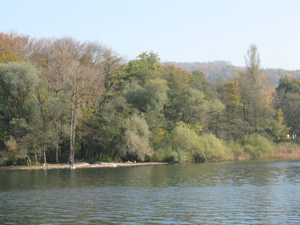 Am Hallwilersee beim Erlenhölzli im Herbst