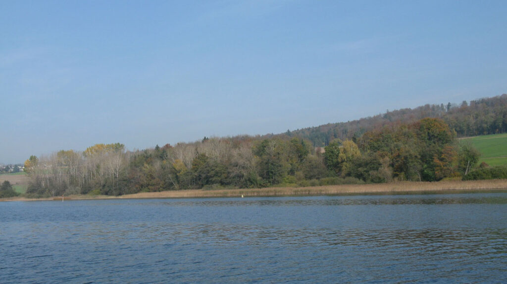 Am Hallwilersee beim Erlenhölzli im Herbst