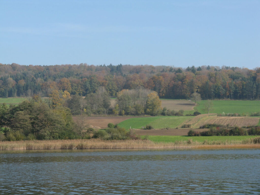Am Hallwilersee beim Erlenhölzli im Herbst