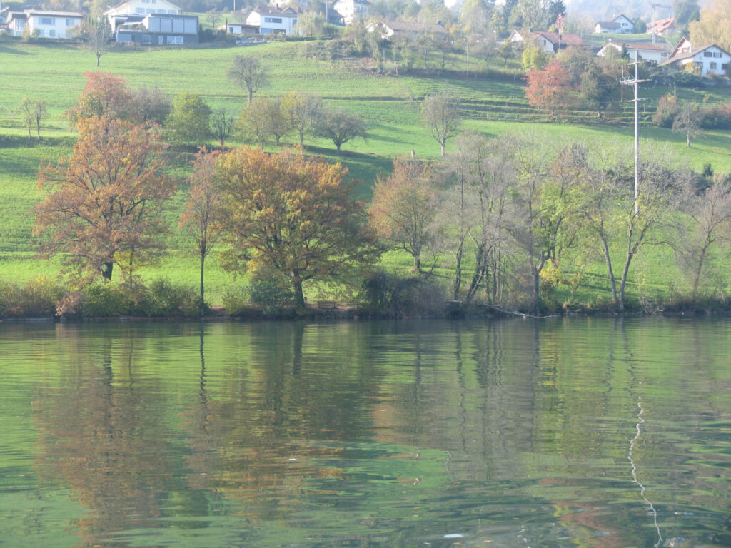Am Hallwilersee bei Birrwil im Herbst