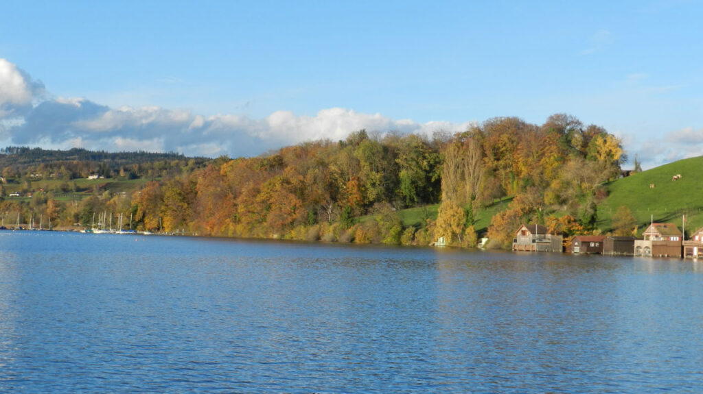 Hallwilersee bei Meisterschwanden im Herbst
