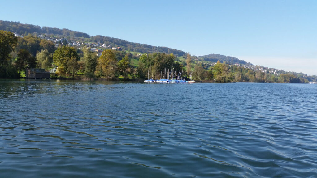 Hallwilersee bei Beinwil im Herbst