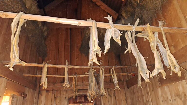Stockfische im Wikingermuseum in Borg