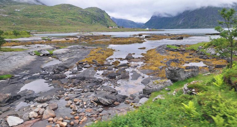 Auf den Lofoten bei Ebbe