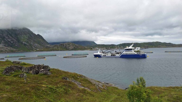 Auf den Lofoten, eine Fischzucht