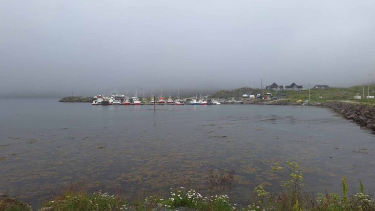 Fahrt von Alta nach Honningsvåg, Skarsvåg Hafen
