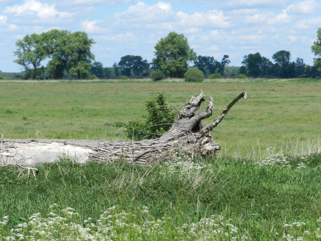 Schwerin - Parchim, Müritz-Elde-Wasserstrasse