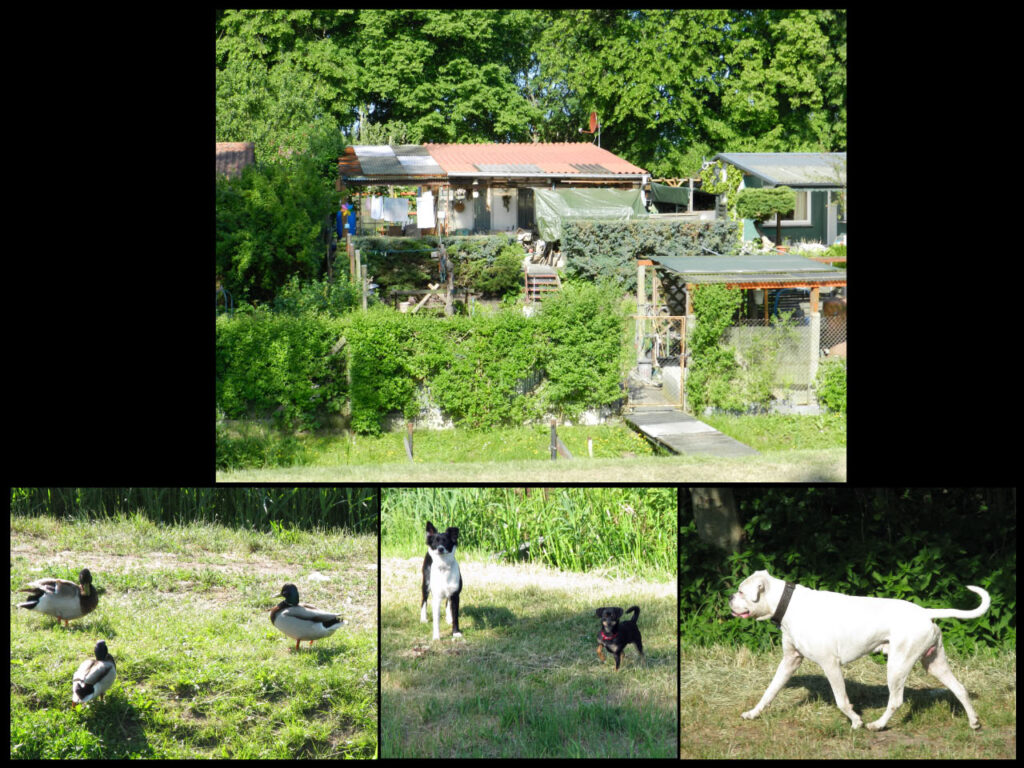 Parchim - Lübz, Müritz-Elde-Wasserstrasse