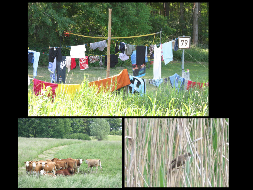Parchim - Lübz, Müritz-Elde-Wasserstrasse