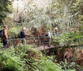 Unsere Wandergruppe an der Levada do Castelejo