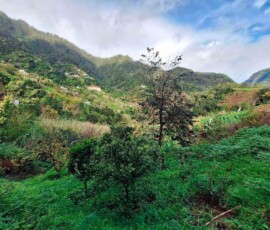 Aussicht an der Levada do Castelejo