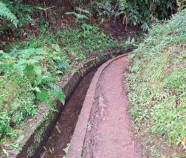 An der Levada do Castelejo