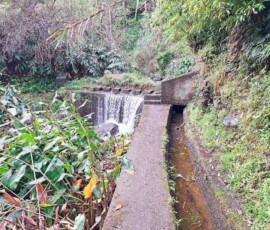 Bach an der Levada do Castelejo