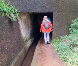 Eingang zu einem Tunnel an der Levada do Castelejo