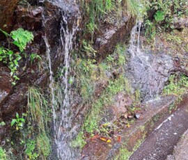 Ein Wasserfall an der Levada do Castelejo