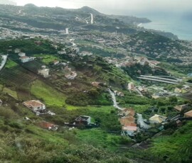 Câmara de Lobos