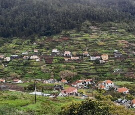 Ortschaft mit Terrassenfelder an der Levada do Norte