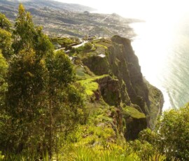 Steilklippe Cabo Girão