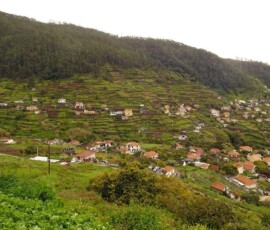 Terrassenfelder an der Levada do Norte