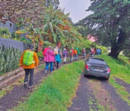 Unsere Wandergruppe an der Levada do Caniçal
