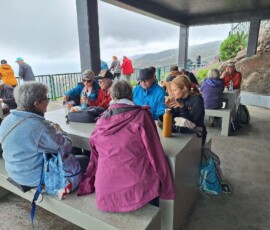 Picknick auf dem Pico do Facho