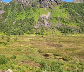 Region Vesteralen