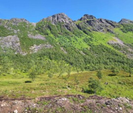 Region Vesteralen