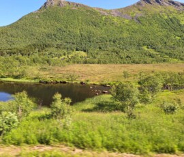Region Vesteralen