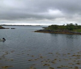 Auf den Lofoten
