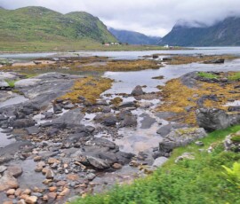 Auf den Lofoten bei Ebbe