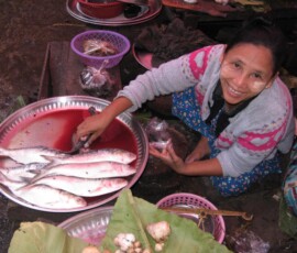 Burma (Myanmar), Jan. 3013