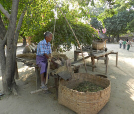 Burma (Myanmar), Jan. 3013