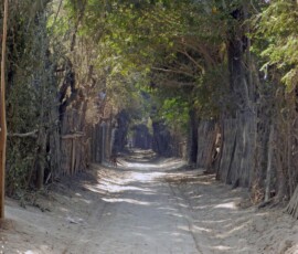 Burma (Myanmar), Jan. 3013