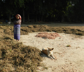 Burma (Myanmar), Jan. 3013