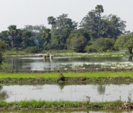 Burma (Myanmar), Jan. 3013
