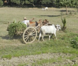 Burma (Myanmar), Jan. 3013