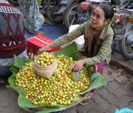 Burma (Myanmar), Jan. 3013