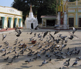 Burma (Myanmar), Jan. 3013