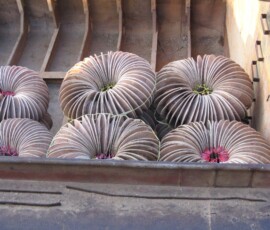 Burma (Myanmar), Jan. 3013