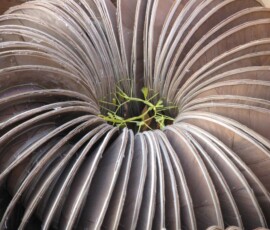 Burma (Myanmar), Jan. 3013