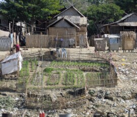 Burma (Myanmar), Jan. 3013