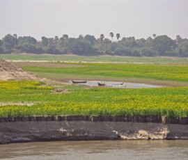 Burma (Myanmar), Jan. 3013