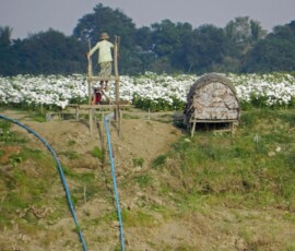 Burma (Myanmar), Jan. 3013