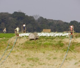 Burma (Myanmar), Jan. 3013