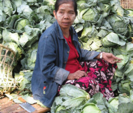 Burma (Myanmar), Jan. 3013