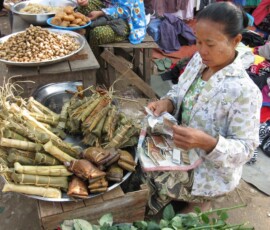 Burma (Myanmar), Jan. 3013