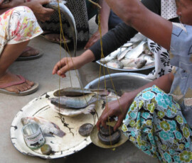 Burma (Myanmar), Jan. 3013